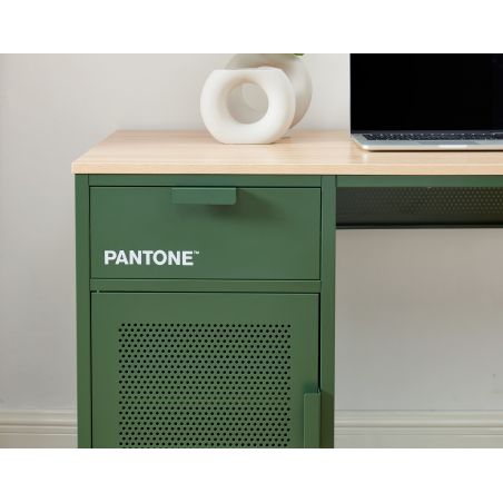 Bureau PANTONE Vert Olive en métal 1 porte et 1 tiroir L120cm