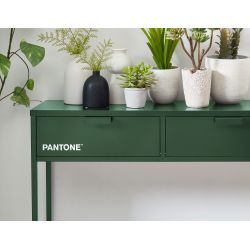 Console PANTONE Vert Olive en métal 2 tiroirs et 1 étagère L100cm