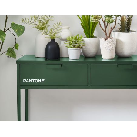 Console PANTONE Vert Olive en métal 2 tiroirs et 1 étagère L100cm